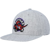 Toronto Raptors Hardwood Classics 2.0 Snapback Hat - Heather Gray shop