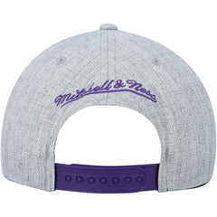 Toronto Raptors Hardwood Classics 2.0 Snapback Hat - Heather Gray shop