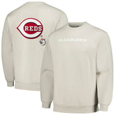 Cincinnati Reds PLEASURES Ballpark Pullover Sweatshirt Gray