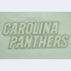 Carolina Panthers Pro Standard Women's Oversized Cropped Neutral Pullover Sweatshirt - Light Green for sale