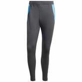 Argentina National Team 2024 AEROREADY Training Pants for sale - Gray