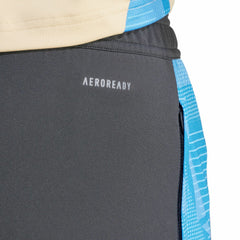 Argentina National Team 2024 AEROREADY Training Pants - Gray cheap