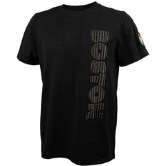 Boston Celtics FISLL 3D Puff Print Sliced Logo T-Shirt - Black on sale