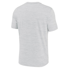 Detroit Tigers Velocity Team Phrase Dri-FIT T-Shirt Ash