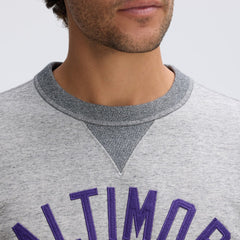 Baltimore Ravens IconicFleece Pocket Sweatshirt - Heather Gray sale