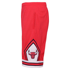 Chicago Bulls Youth Hardwood Classics Swingman Shorts - Red for sale
