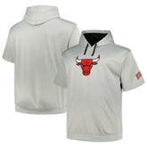 Chicago Bulls Big & Tall Logo Pullover Hoodie - Silver on sale