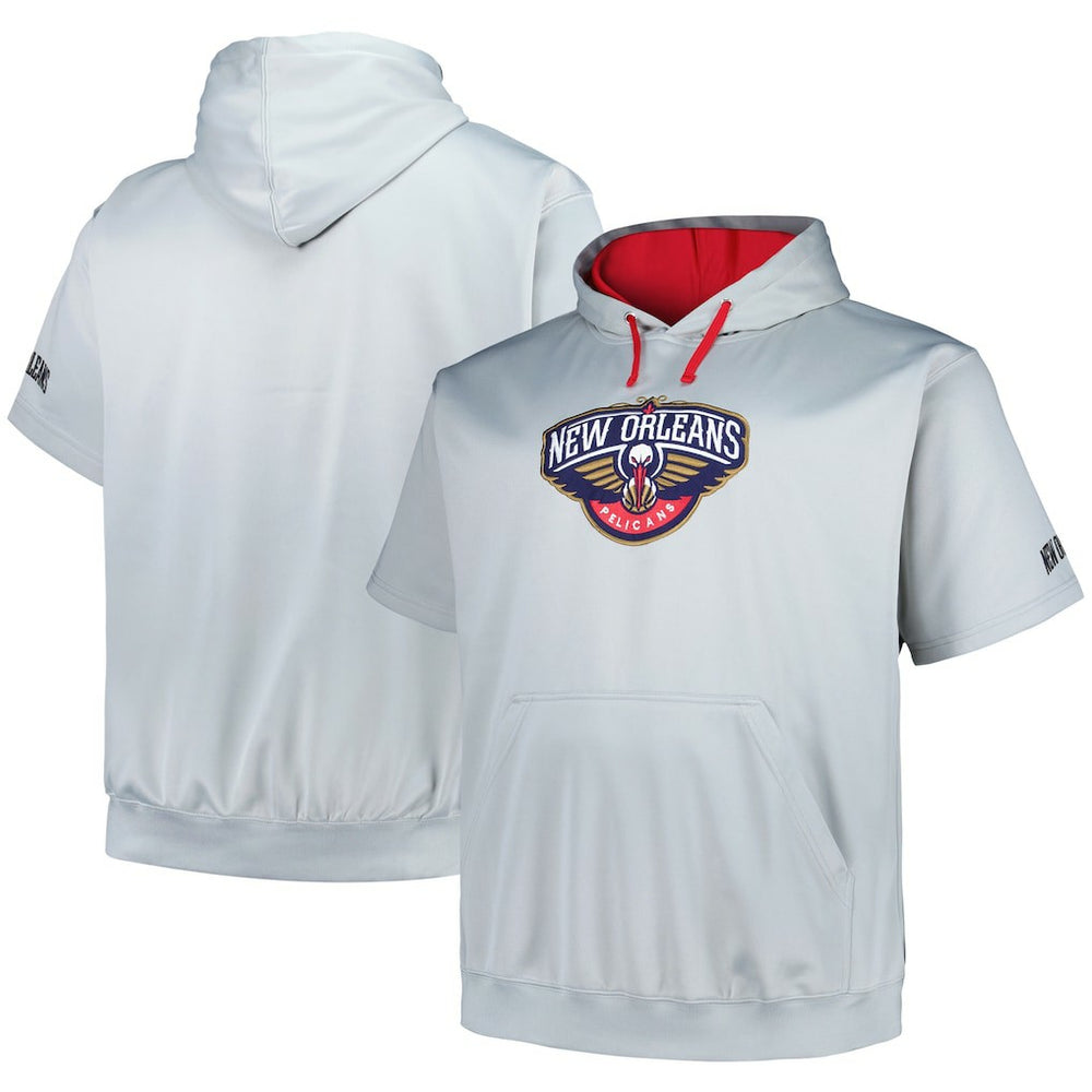 New Orleans Pelicans Big & Tall Logo Pullover Hoodie - Silver shop