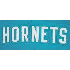 Charlotte Hornets Pro Standard Women's 2023/24 City Edition Cropped Pullover Hoodie - Teal on sale