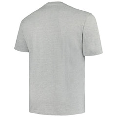 Minnesota Wild Profile Big & Tall Arch Over Logo T-Shirt - Heather Gray T-shirts