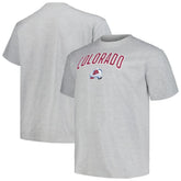 Colorado Avalanche Profile Big & Tall Arch Over Logo T-Shirt - Heather Gray T-shirts
