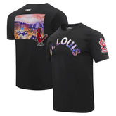 St. Louis Cardinals Pro Standard Cityscape T-Shirt Black