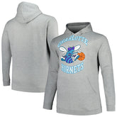 Charlotte Hornets Hardwood Classics Big & Tall Pullover Hoodie - Heather Gray discount