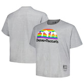 Denver Nuggets Big & Tall Hardwood Classics Vintage Logo T-Shirt sale - Heather Gray online