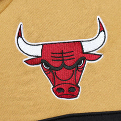 Chicago Bulls Head Coach Pullover Hoodie - Red/Gold for sale