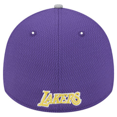 Los Angeles Lakers Active Trim 39THIRTY Flex Hat - Gray/Purple sale