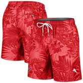 Arizona Cardinals Santiago Palms Board Shorts - Cardinal online