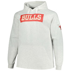 Chicago Bulls Big & Tall Raglan Tri-Blend Pullover Hoodie sale - Ash for sale