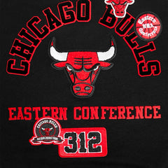 Chicago Bulls Pro Standard Women's Area Code Cropped Pullover Sweatshirt - Black for sale