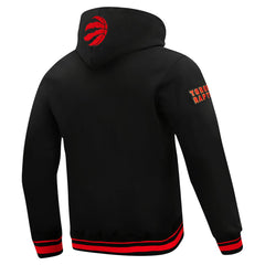 Toronto Raptors Pro Standard Area Code Pullover Hoodie - Black for sale