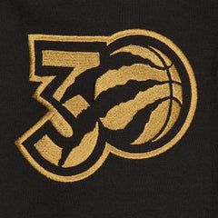 Toronto Raptors 2024/25 City Edition Chenille Heavyweight Pullover Hoodie - Black online