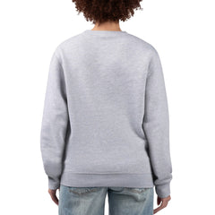 Detroit Lions G-III 4Her by Carl Banks Women's Football Logo Graphic Fleece Tri-Blend Pullover Sweatshirt - Heather Gray on sale