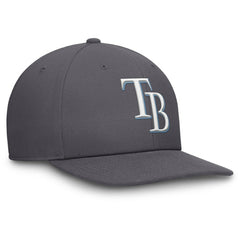 Tampa Bay Rays Pro Performance Snapback Hat Gray