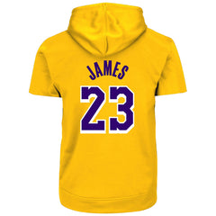 LeBron James Los Angeles Lakers Big & Tall Short Sleeve Hoodie - Gold cheap