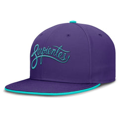 Arizona Diamondbacks 2025 City Connect True Performance Fitted Hat Purple