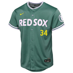 David Ortiz Boston Red Sox Youth 2025 City Connect Limited Retired Player Jersey Green