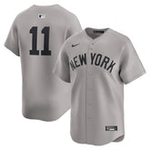 Anthony Volpe New York Yankees Road Limited Player Jersey Gray