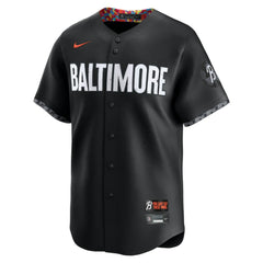 Adley Rutschman Baltimore Orioles City Connect Limited Jersey Black