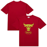 Chicago Bulls Hardwood Classics Neon Nights Premium T-Shirt sale - Red outlet