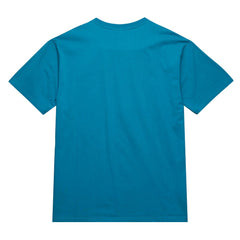 Charlotte Hornets Hardwood Classics Neon Nights Premium T-Shirt - Teal online