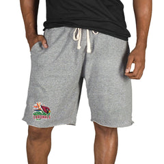 Arizona Cardinals Concepts Sport Mainstream Tri-Blend Shorts - Gray online
