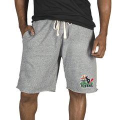 Houston Texans Concepts Sport Mainstream Tri-Blend Shorts - Gray outlet