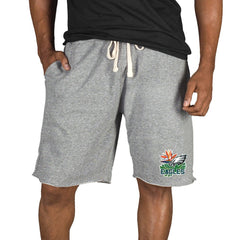 Philadelphia Eagles Concepts Sport Mainstream Tri-Blend Shorts - Gray online