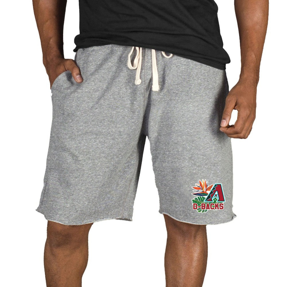 Arizona Diamondbacks Concepts Sport Mainstream Tri-Blend Shorts Gray