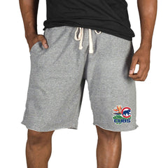 Chicago Cubs Concepts Sport Mainstream Tri-Blend Shorts Gray
