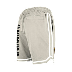 Pittsburgh Steelers New Era Stone Multi Patch Shorts - Light Beige on sale