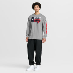 Houston Texans Hometown Sweep Legacy Long Sleeve T-Shirt - Heather Gray outlet
