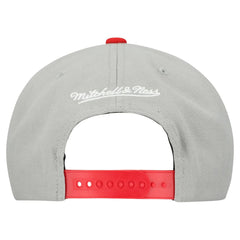 Boston Red Sox Cooperstown Collection Basic Flip Snapback Hat Gray