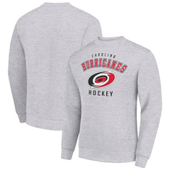 Carolina Hurricanes Men's Starter Team Logo Fleece Pullover Sweatshirt - Heather Gray Sweatshirts