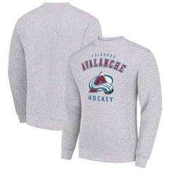 Colorado Avalanche Men's Starter Team Logo Fleece Pullover Sweatshirt - Heather Gray Sweatshirts