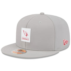 Arizona Cardinals New Era 2025 Sideline 59FIFTY Fitted Hat - Gray for sale