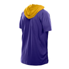 Minnesota Vikings New Era Combine Authentic Hooded Raglan Short-Sleeve T-Shirt - Purple on sale