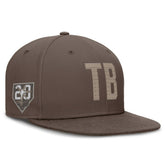 Tampa Bay Rays True Statement 20th AnniversaryPerformance Fitted Hat Brown