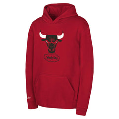Chicago Bulls Preschool Retro Logo Pullover Hoodie - Red cheap