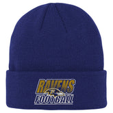 Baltimore Ravens Outerstuff Youth Team Gradient Cuffed Knit Hat - Purple on sale