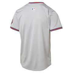 New York Mets Youth Road Limited Jersey Gray